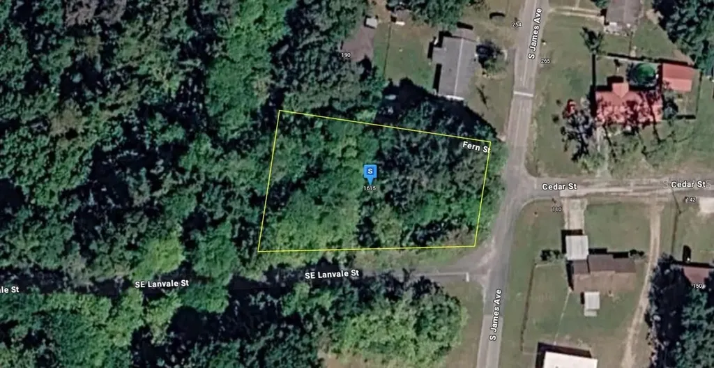 1615 SE Lanvale Street Lake City FL 32025