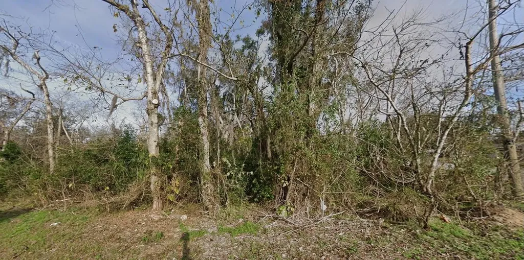 1615 SE Lanvale Street Lake City FL 32025