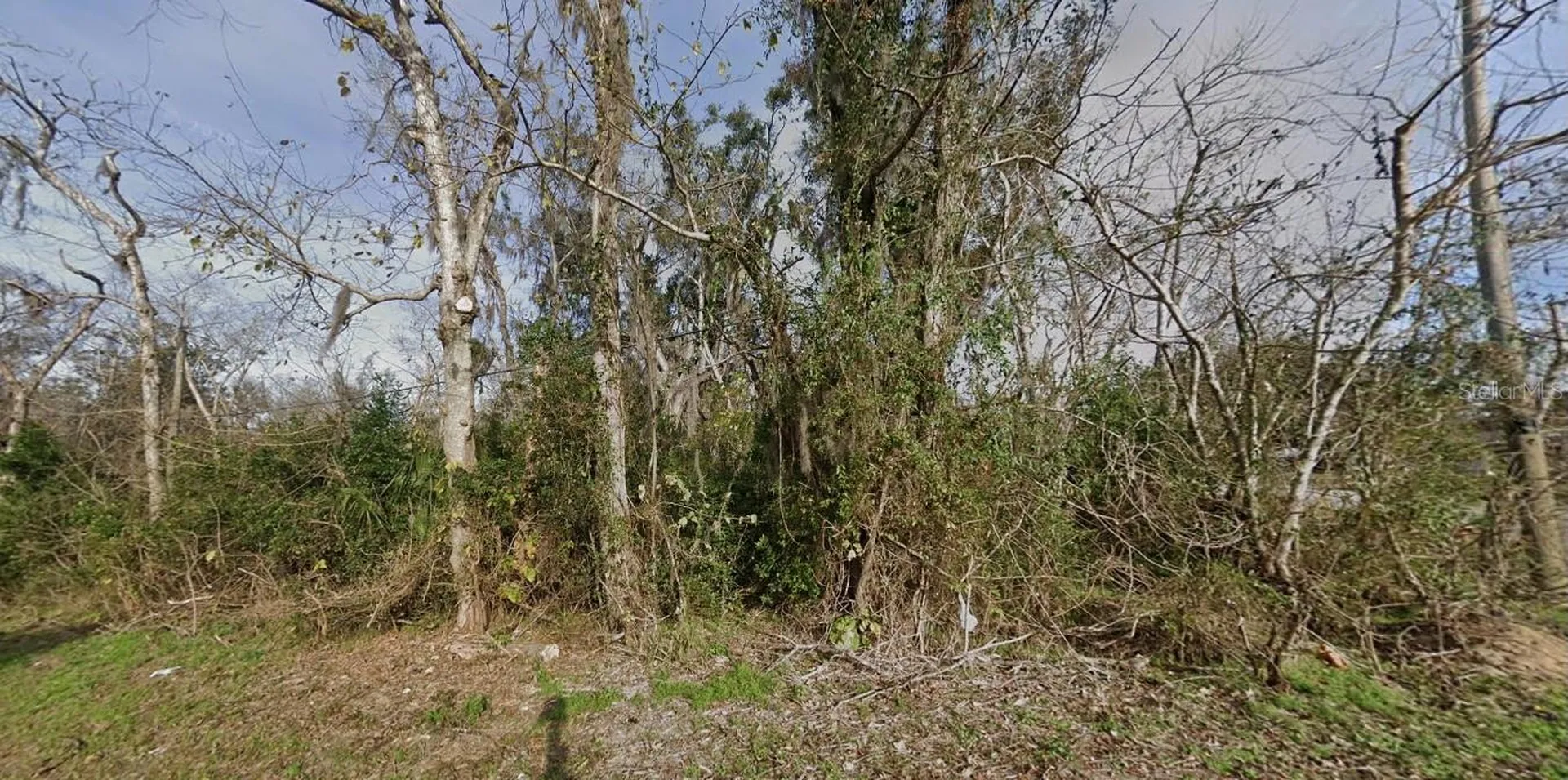 1615 SE Lanvale Street Lake City FL 32025