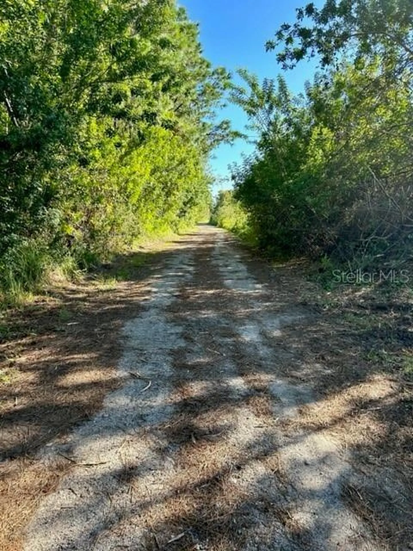 806 W Ariel Road Edgewater FL 32141