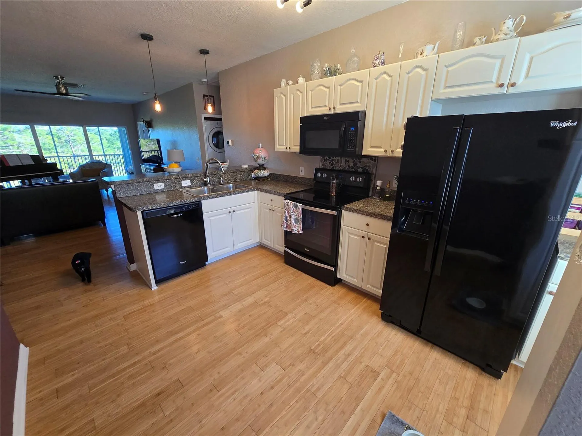 3919 Cape Haze Drive Rotonda West FL 33947