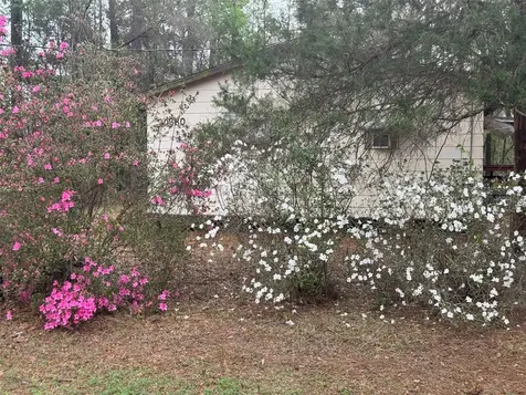 5435 SW 204th Avenue Dunnellon FL 34431