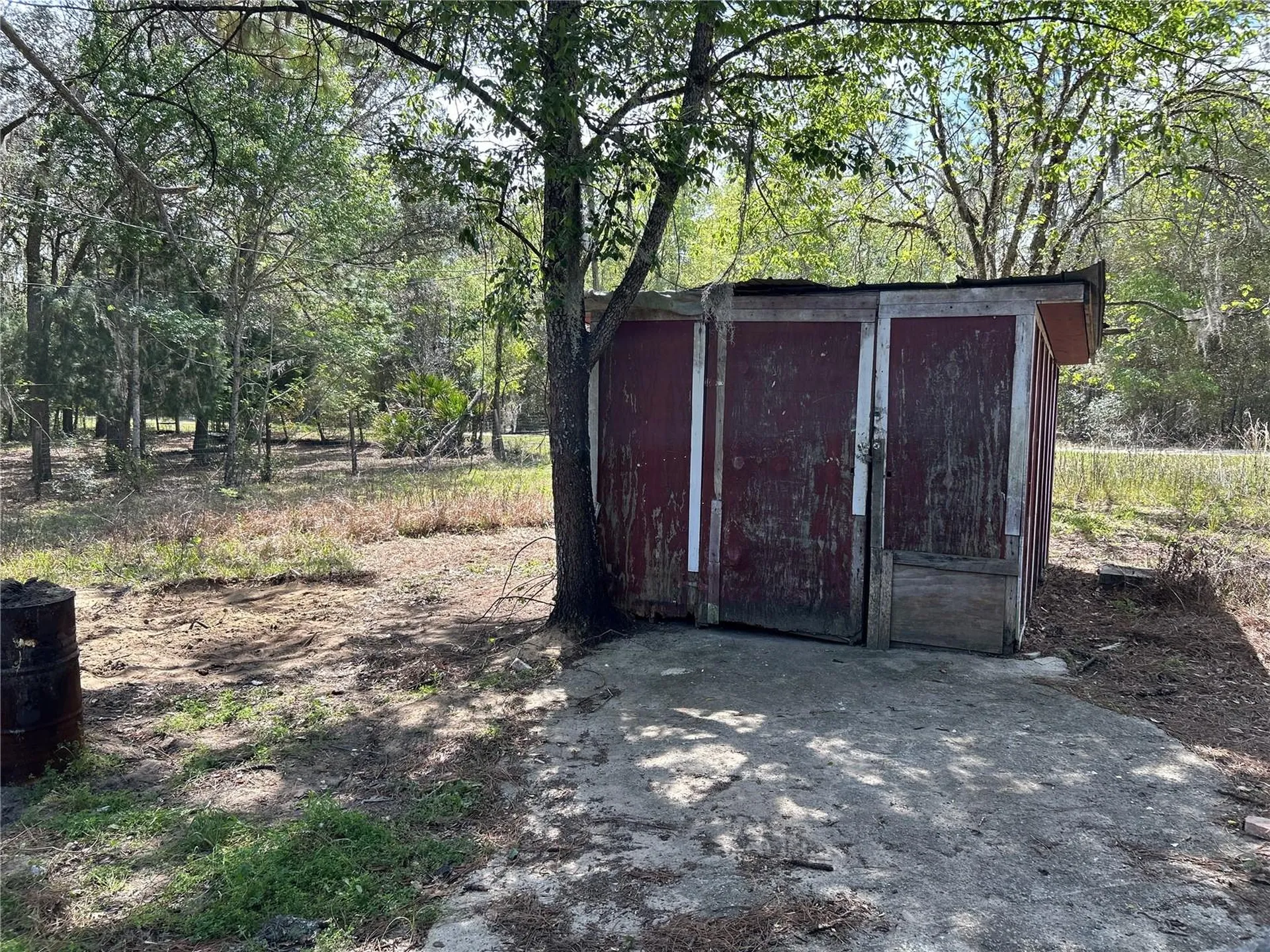 12231 NE 64th Place Williston FL 32696