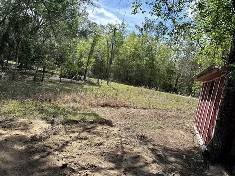12231 NE 64th Place Williston FL 32696