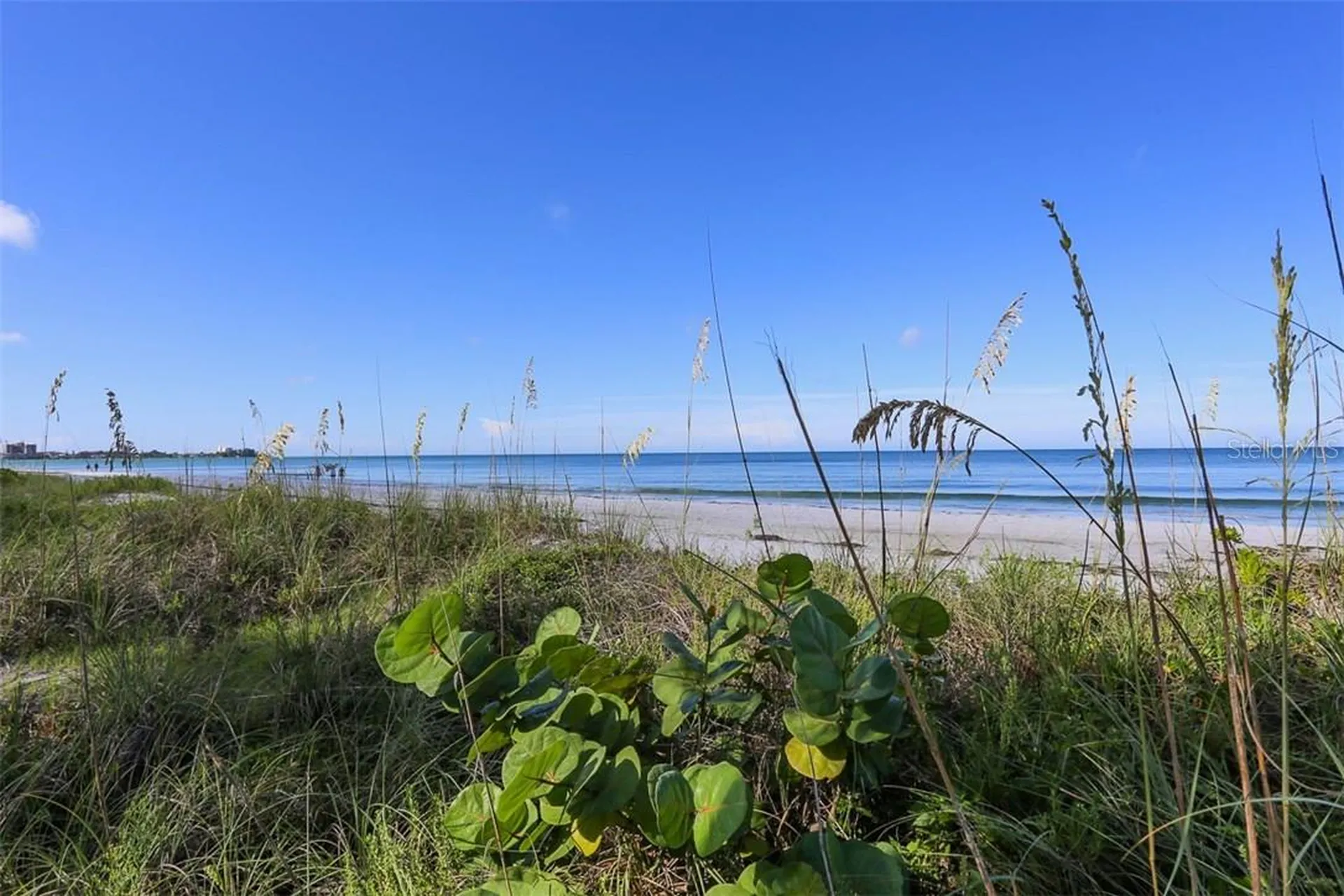 1770 Benjamin Franklin Drive Sarasota FL 34236