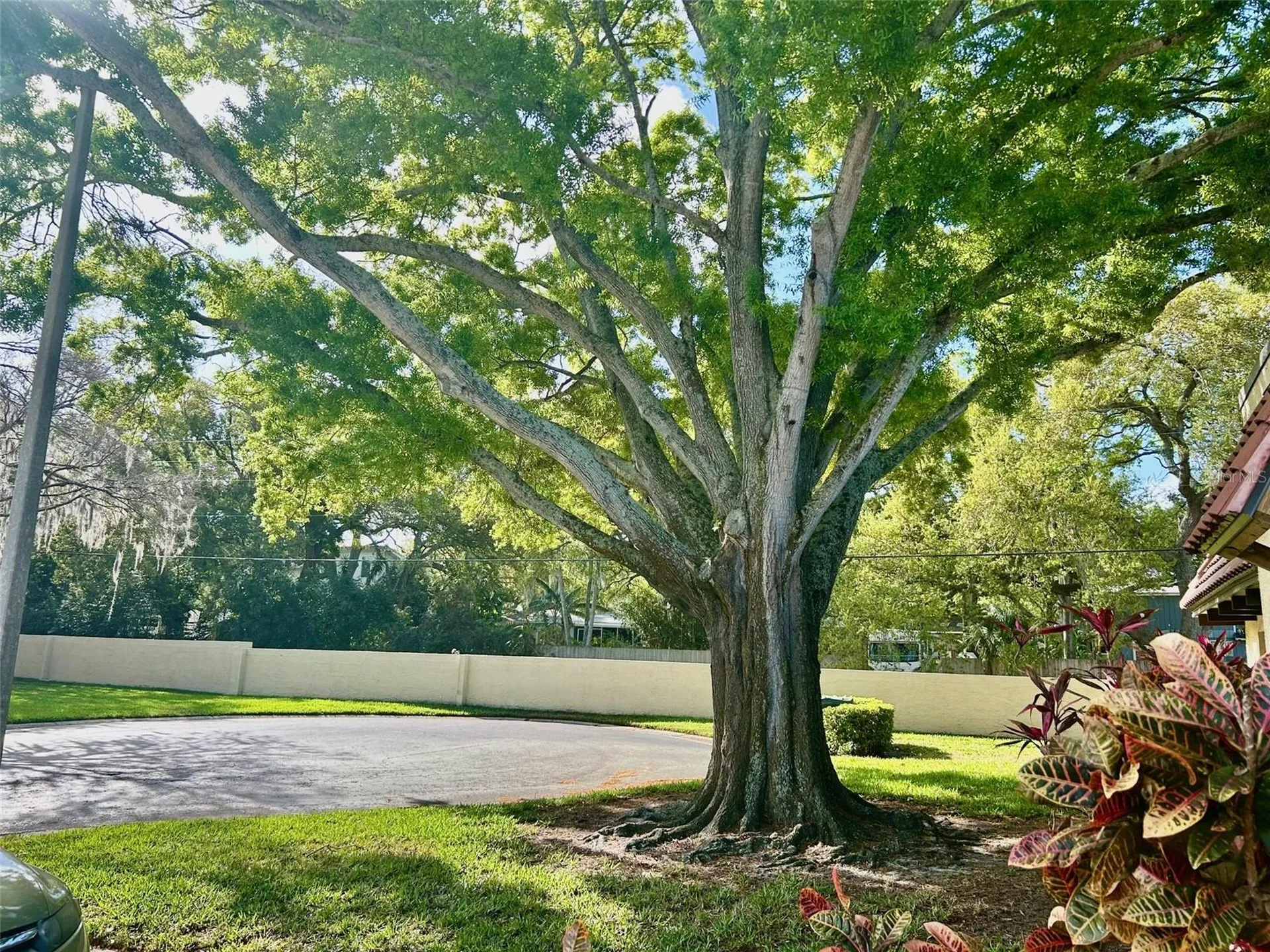 1701 Pinehurst Road Dunedin FL 34698