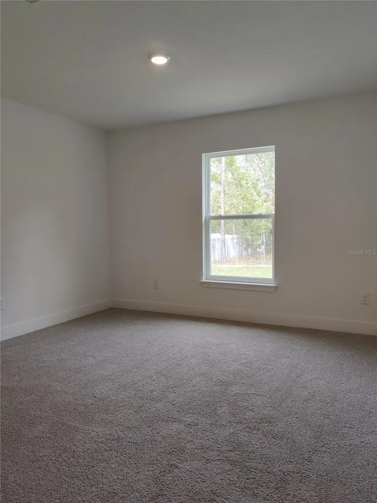 15406 Scaup Duck Avenue Weeki Wachee FL 34614