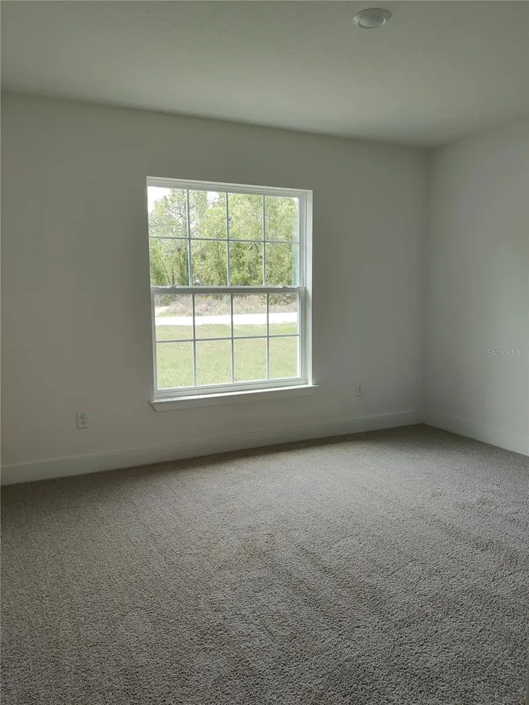15406 Scaup Duck Avenue Weeki Wachee FL 34614