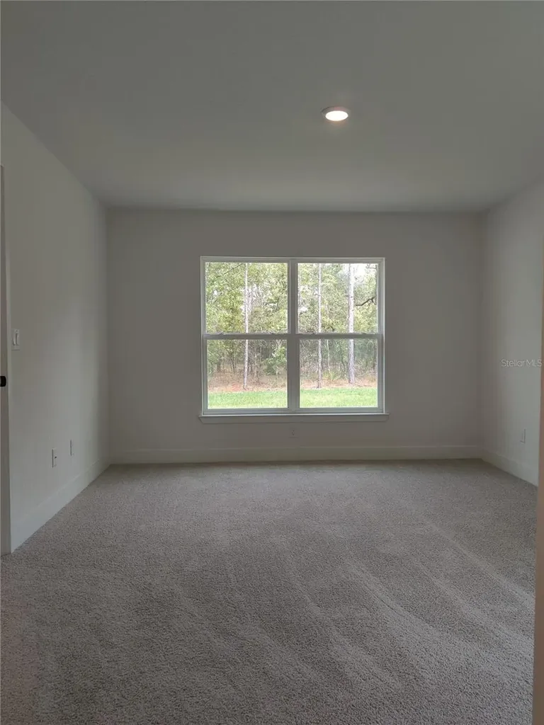 15406 Scaup Duck Avenue Weeki Wachee FL 34614
