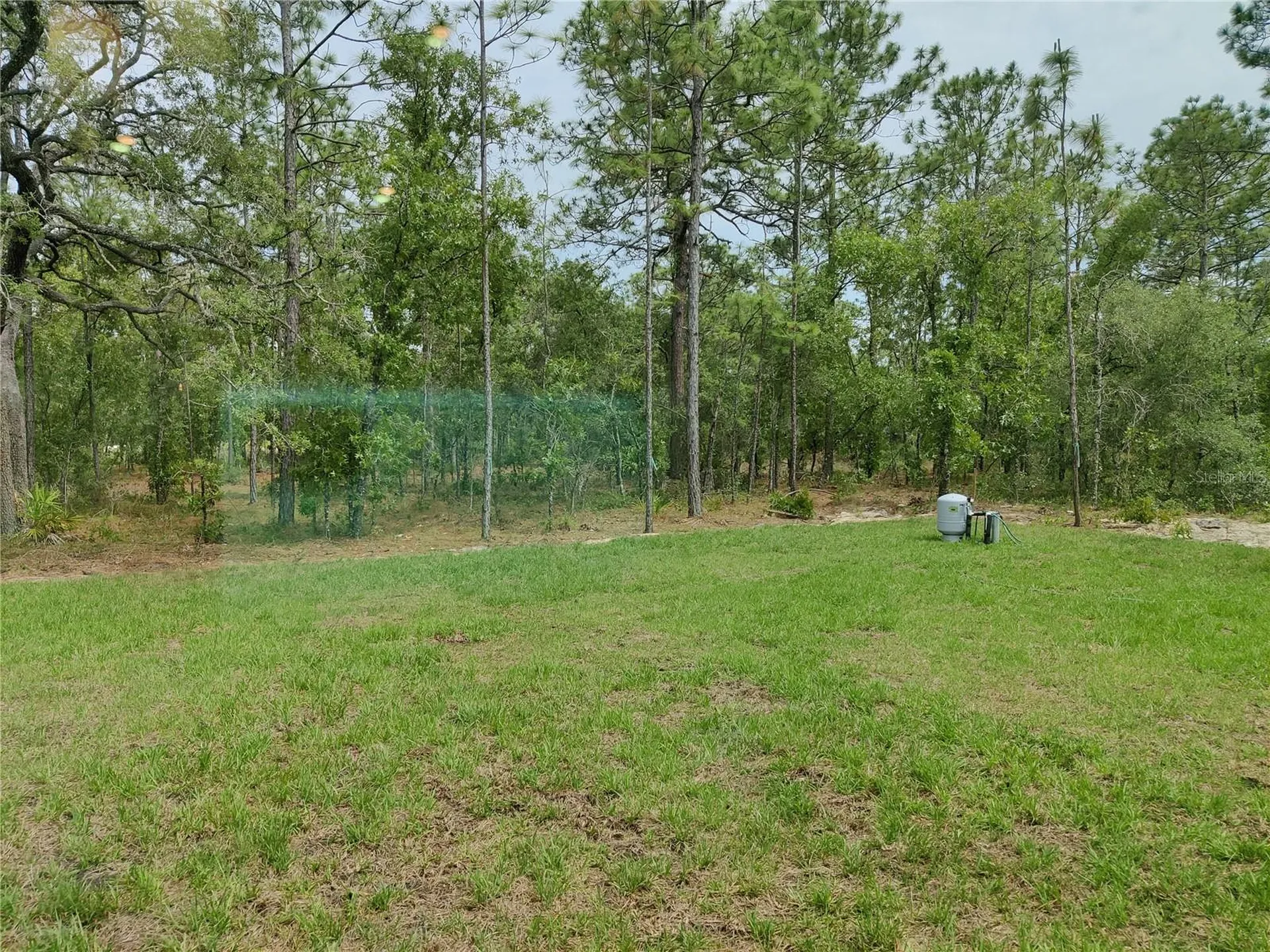 15406 Scaup Duck Avenue Weeki Wachee FL 34614
