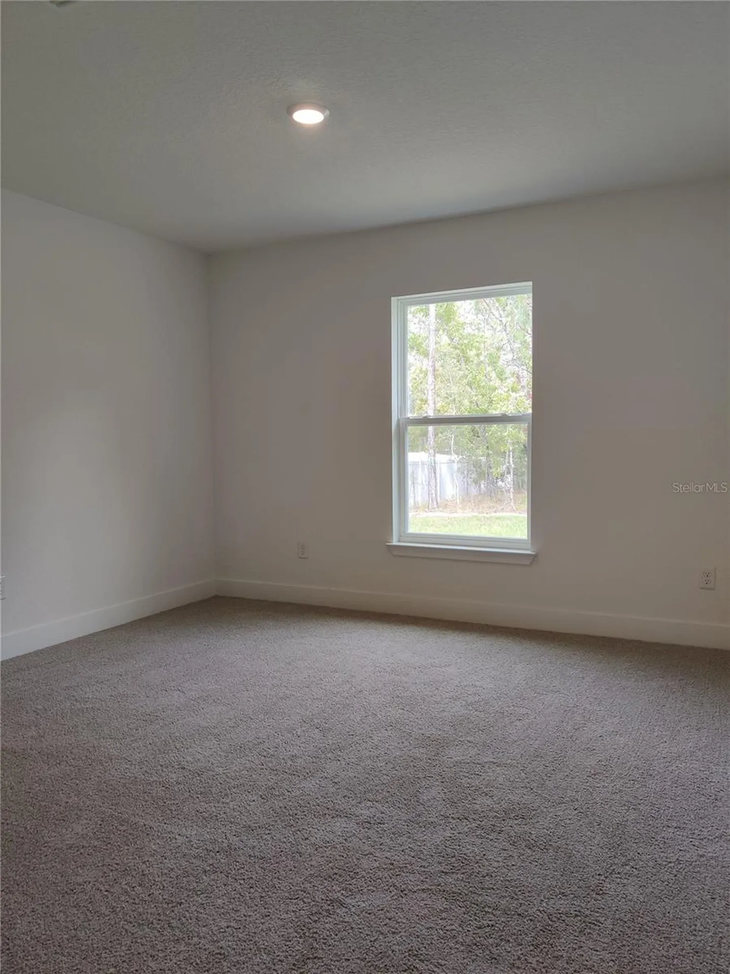 15406 Scaup Duck Avenue Weeki Wachee FL 34614