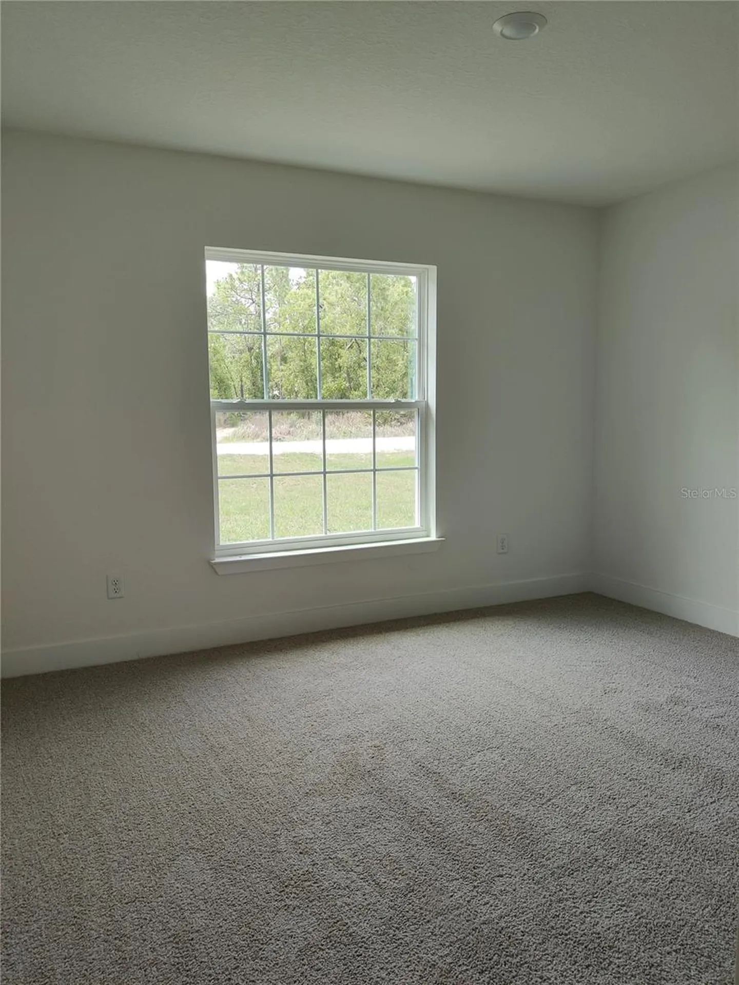 15406 Scaup Duck Avenue Weeki Wachee FL 34614
