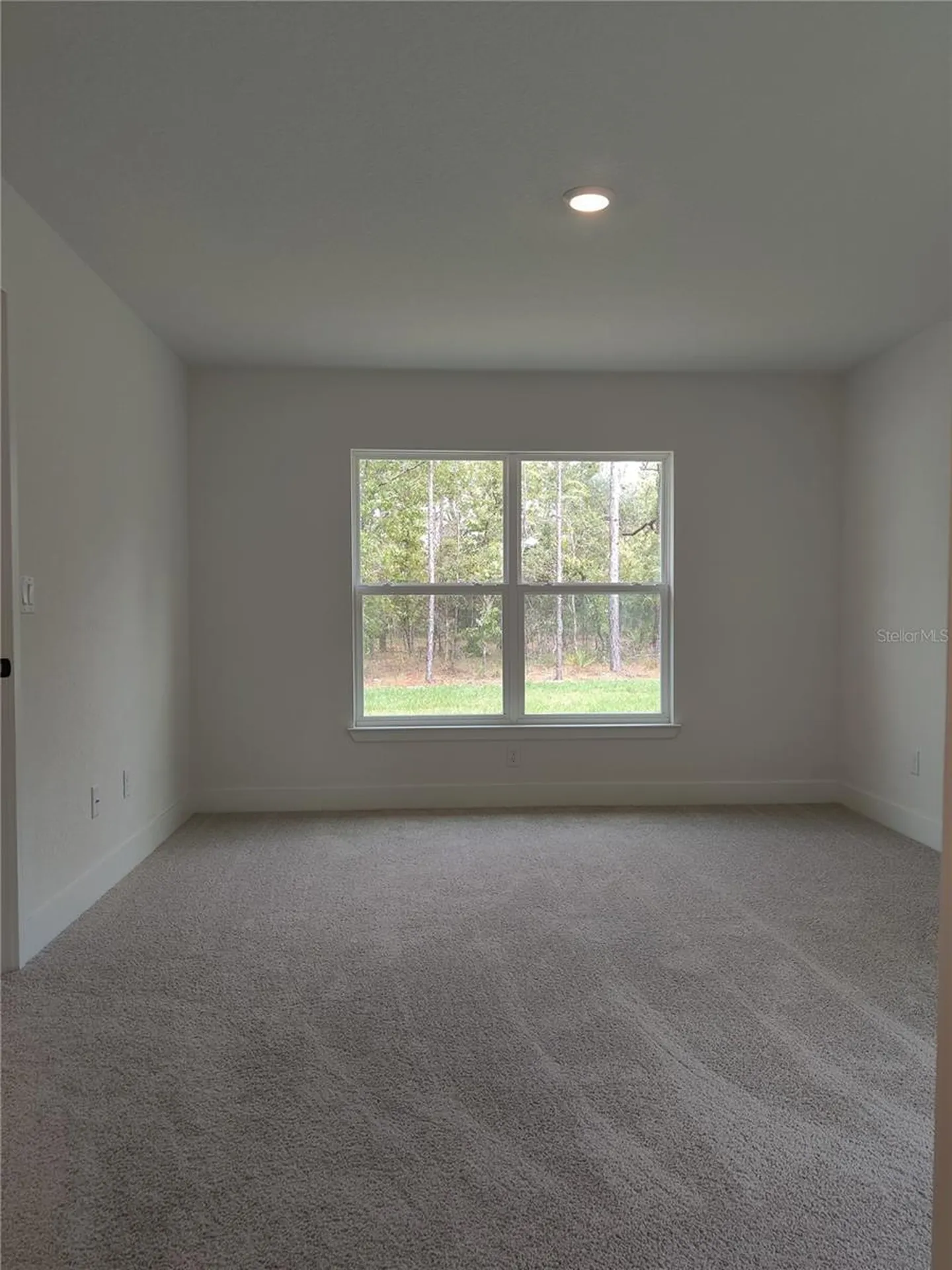 15406 Scaup Duck Avenue Weeki Wachee FL 34614