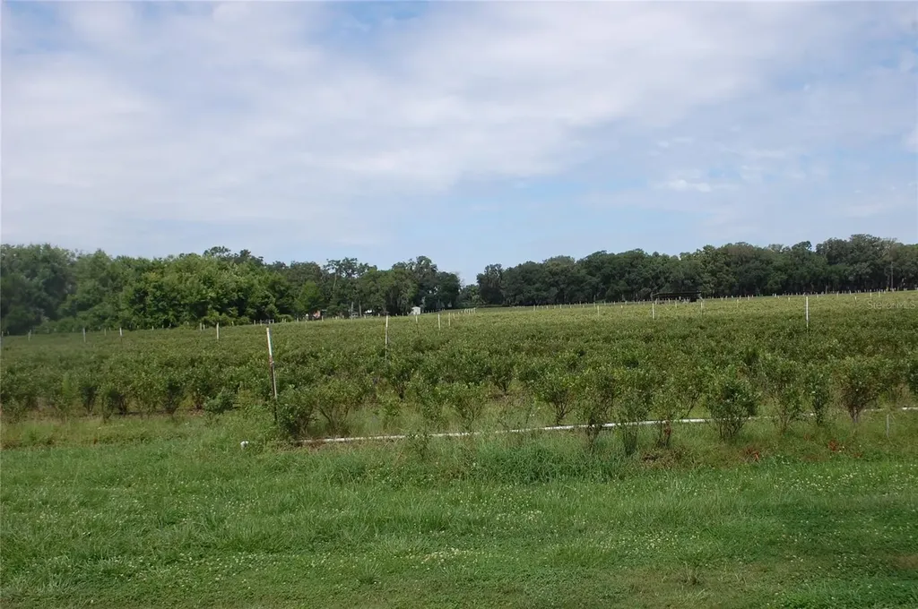 18811 SE 243rd Street Hawthorne FL 32640