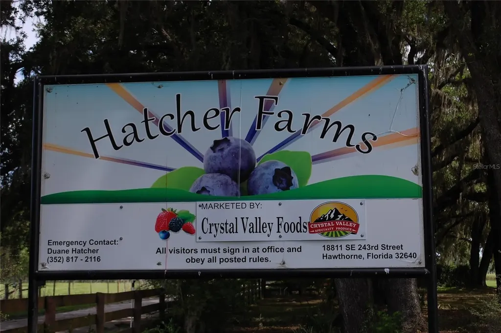 18811 SE 243rd Street Hawthorne FL 32640