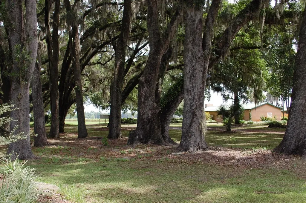 18811 SE 243rd Street Hawthorne FL 32640