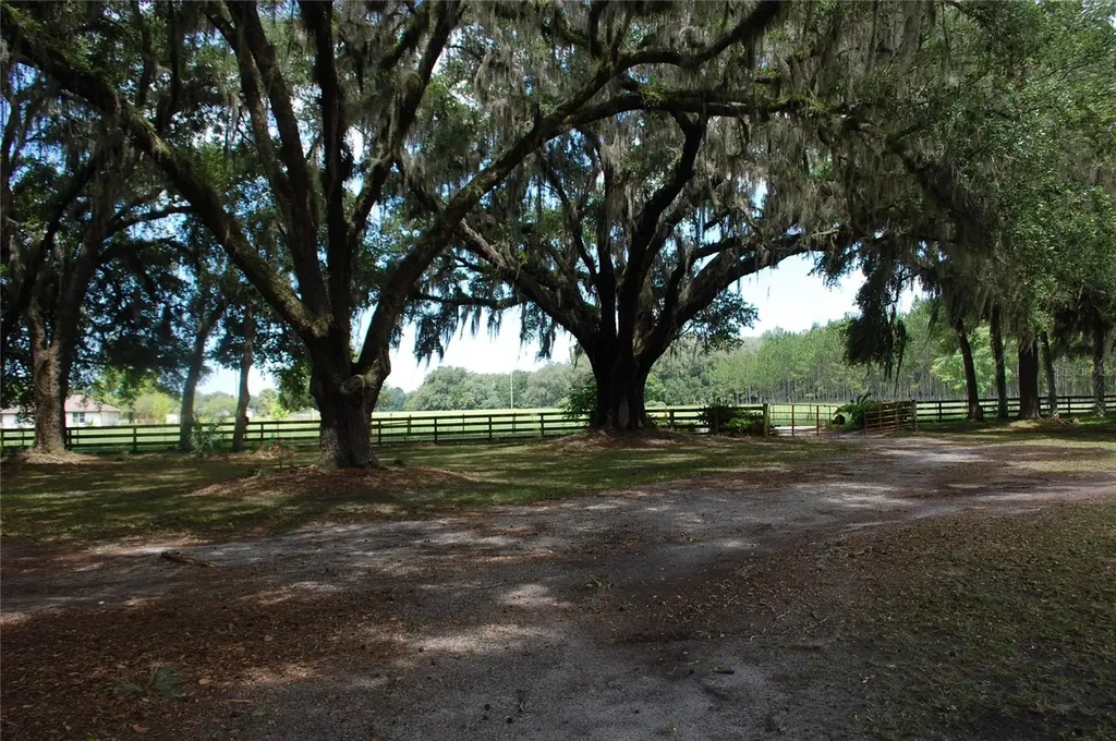 18811 SE 243rd Street Hawthorne FL 32640
