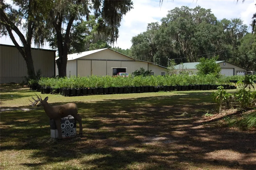 18811 SE 243rd Street Hawthorne FL 32640