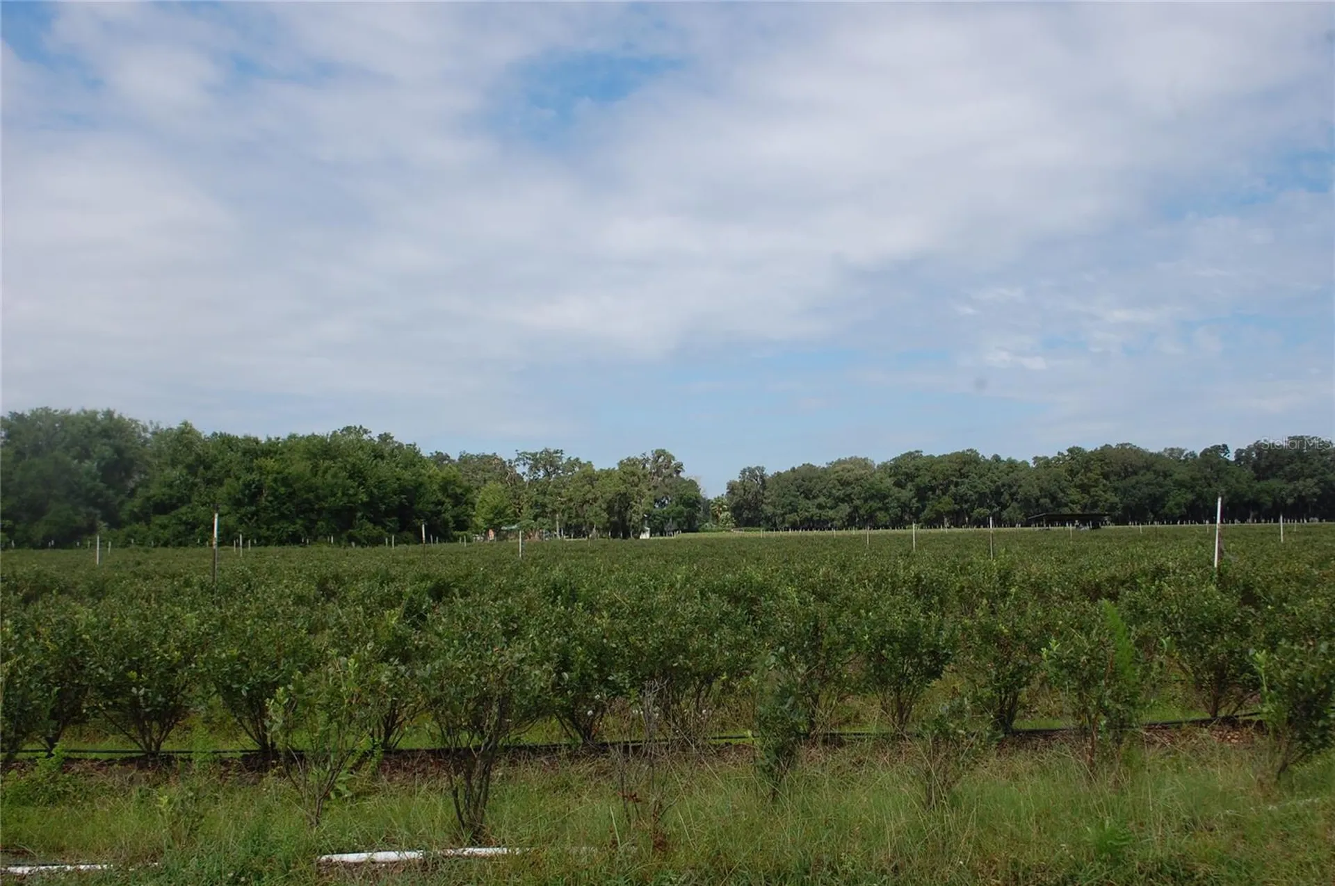 18811 SE 243rd Street Hawthorne FL 32640