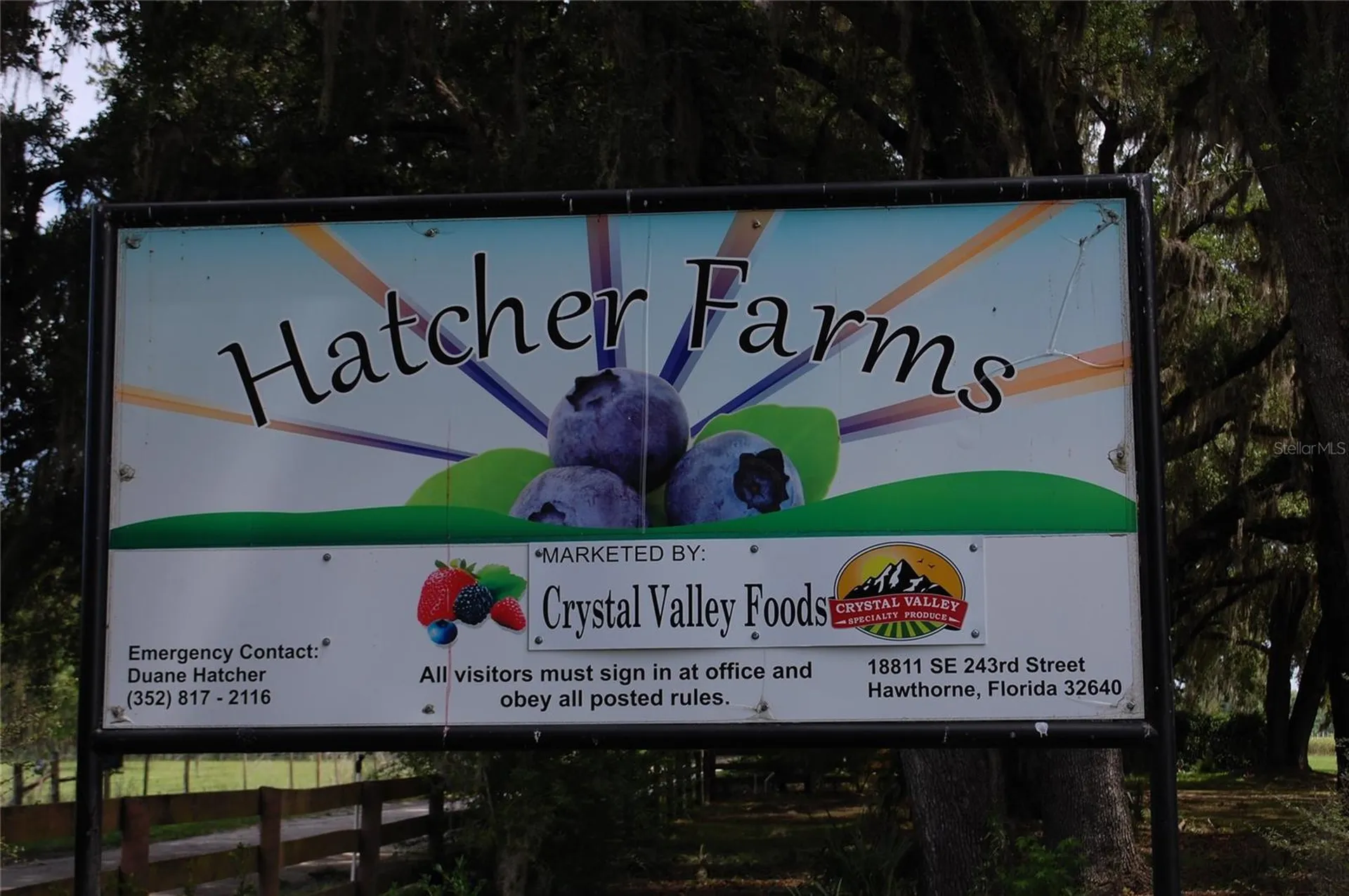 18811 SE 243rd Street Hawthorne FL 32640