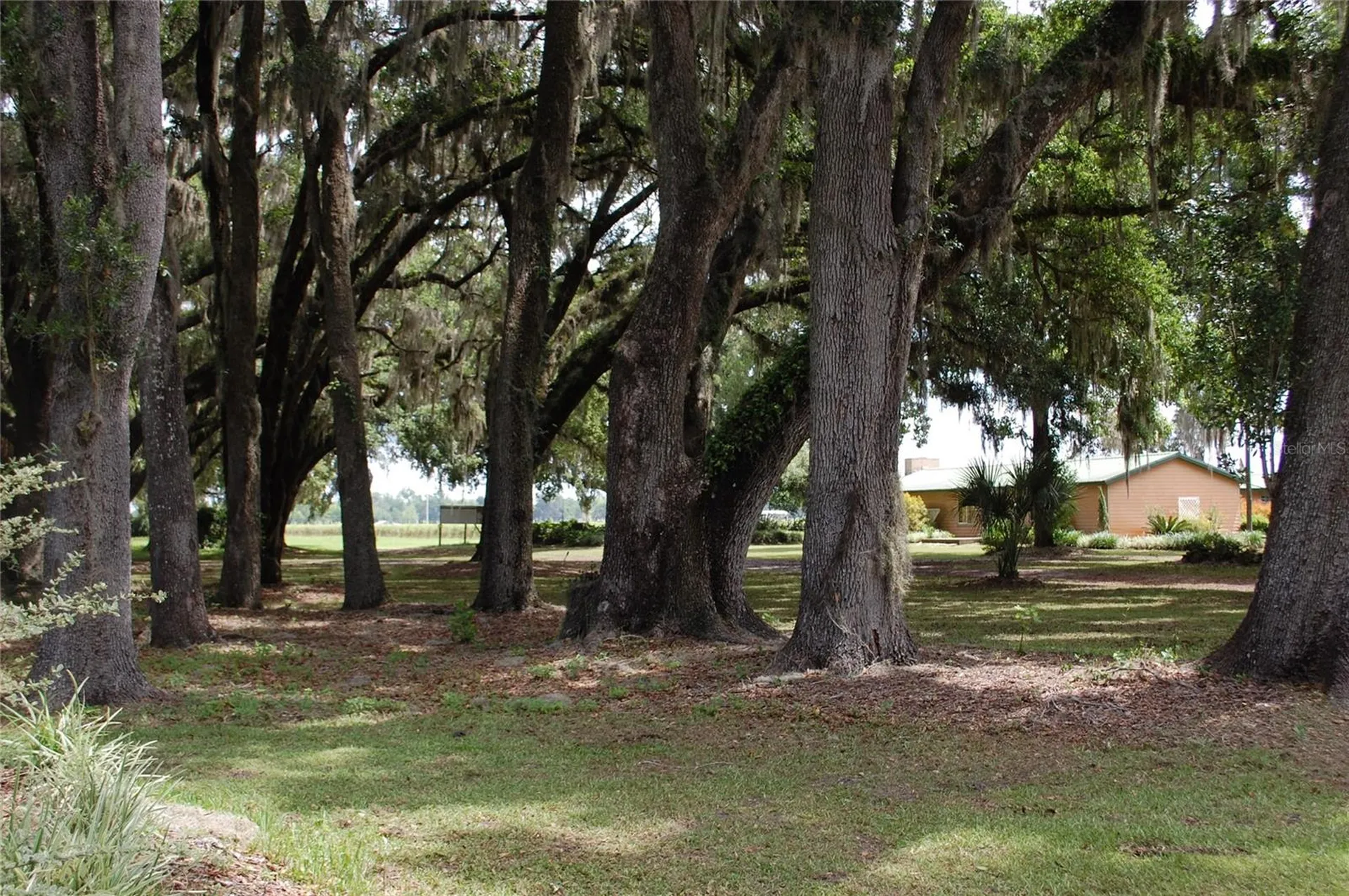 18811 SE 243rd Street Hawthorne FL 32640