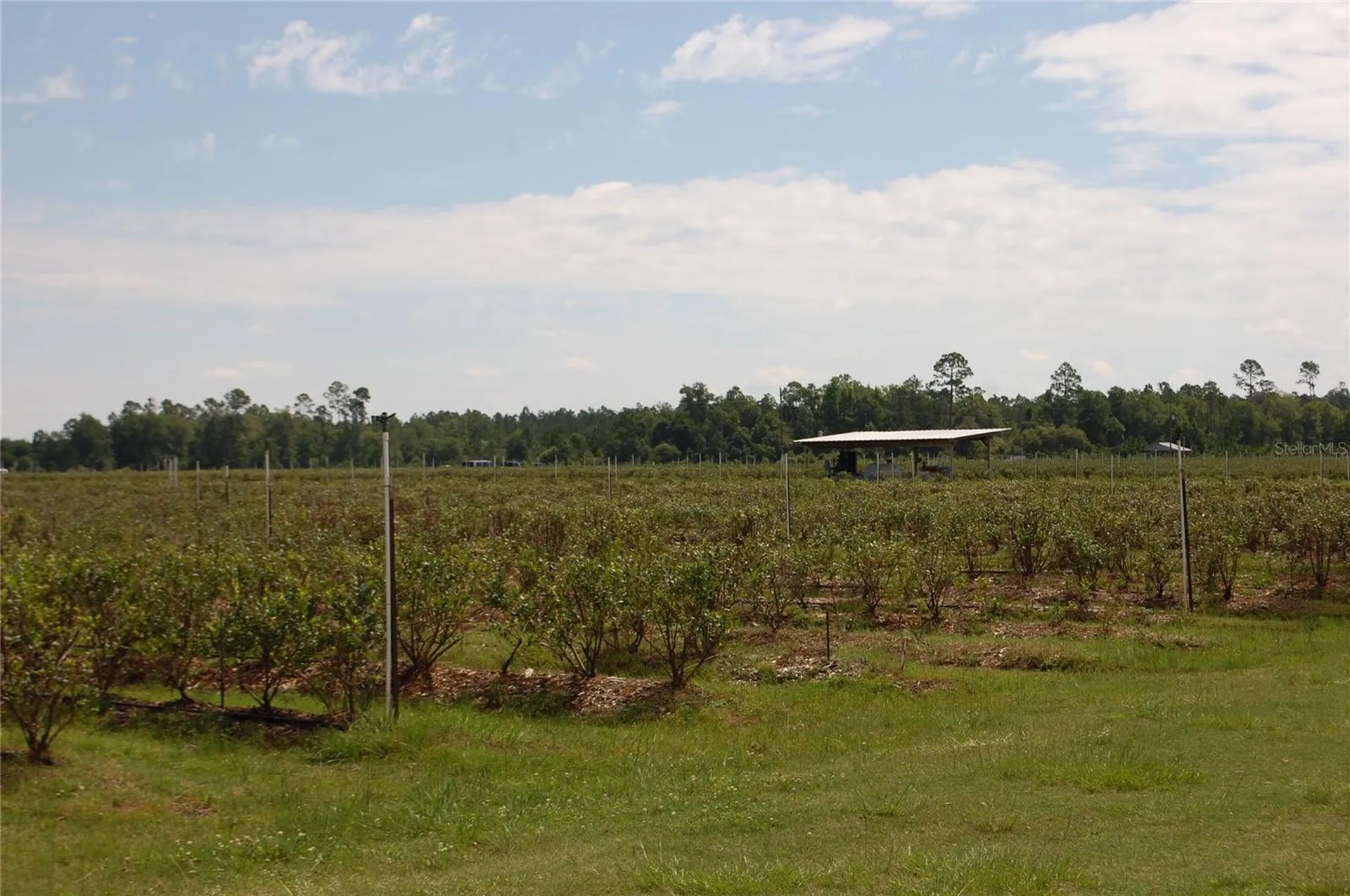 18811 SE 243rd Street Hawthorne FL 32640