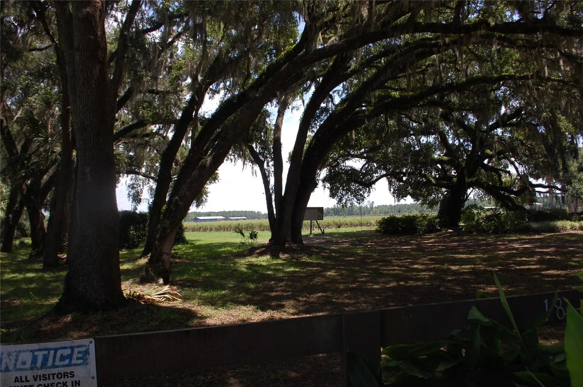 18811 SE 243rd Street Hawthorne FL 32640