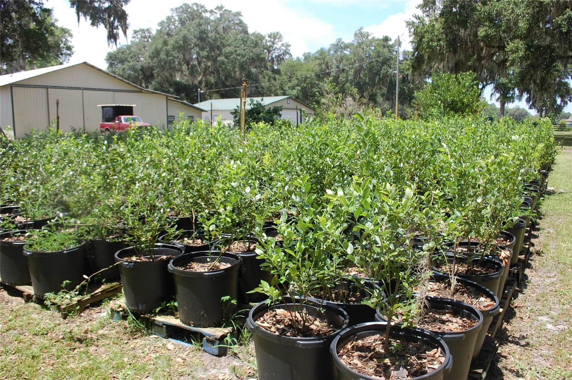18811 SE 243rd Street Hawthorne FL 32640