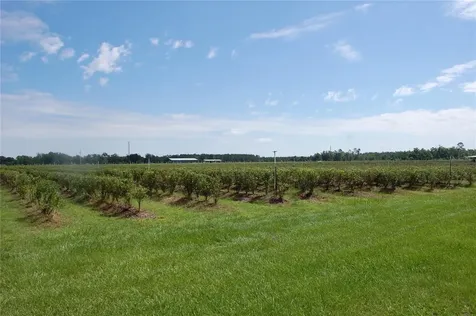 18811 SE 243rd Street Hawthorne FL 32640