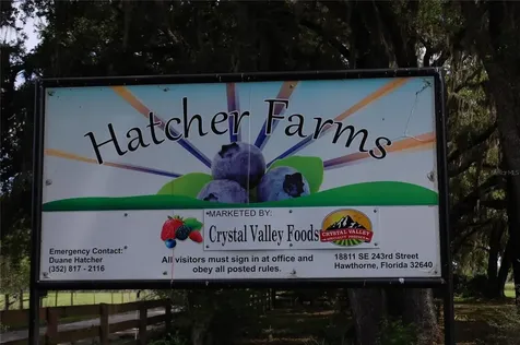 18811 SE 243rd Street Hawthorne FL 32640