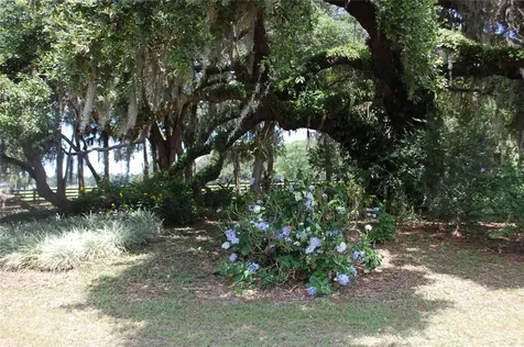 18811 SE 243rd Street Hawthorne FL 32640