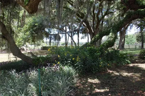 18811 SE 243rd Street Hawthorne FL 32640