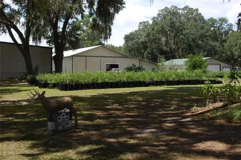 18811 SE 243rd Street Hawthorne FL 32640