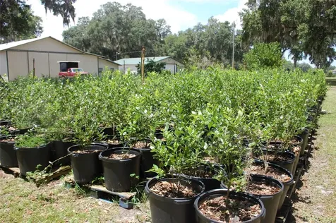 18811 SE 243rd Street Hawthorne FL 32640