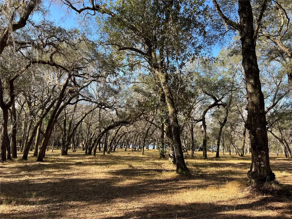 Forest 02 Road Umatilla FL 32784
