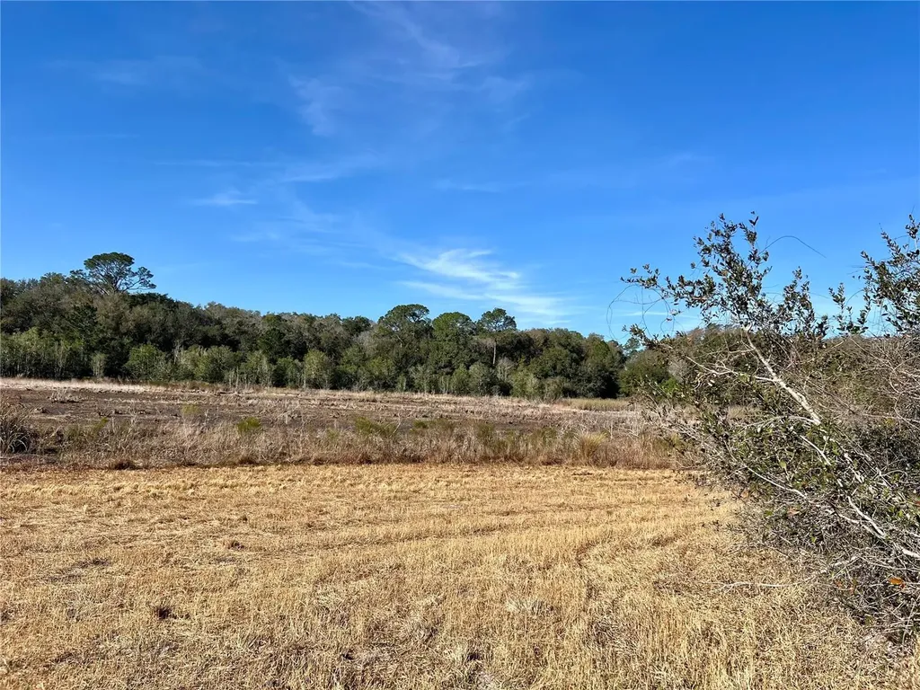 Forest 02 Road Umatilla FL 32784