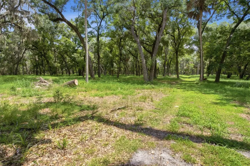 Forest 02 Road Umatilla FL 32784