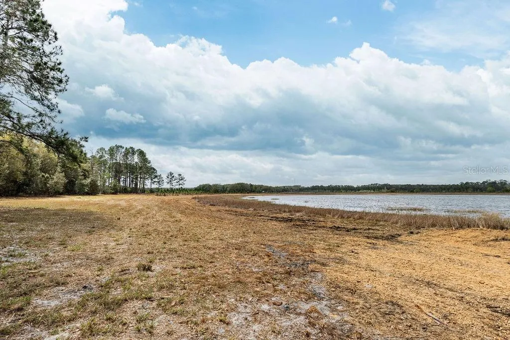 Forest 02 Road Umatilla FL 32784