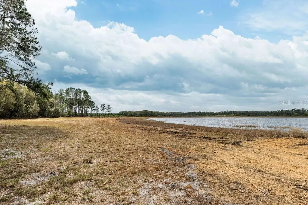 Forest 02 Road Umatilla FL 32784