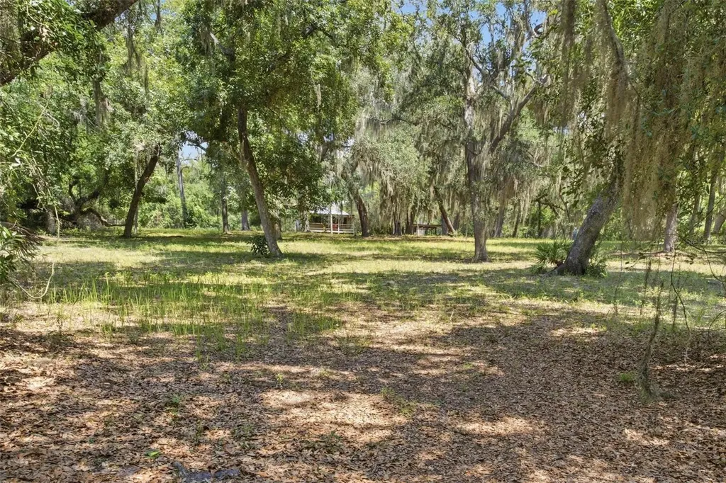 Forest 02 Road Umatilla FL 32784