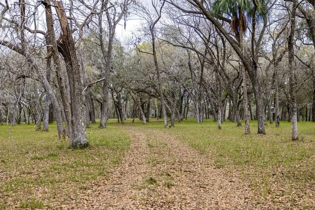 Forest 02 Road Umatilla FL 32784