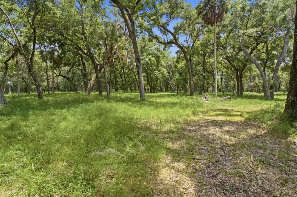 Forest 02 Road Umatilla FL 32784