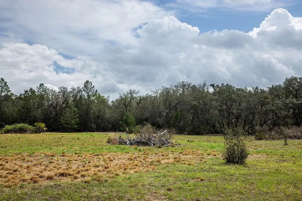 Forest 02 Road Umatilla FL 32784