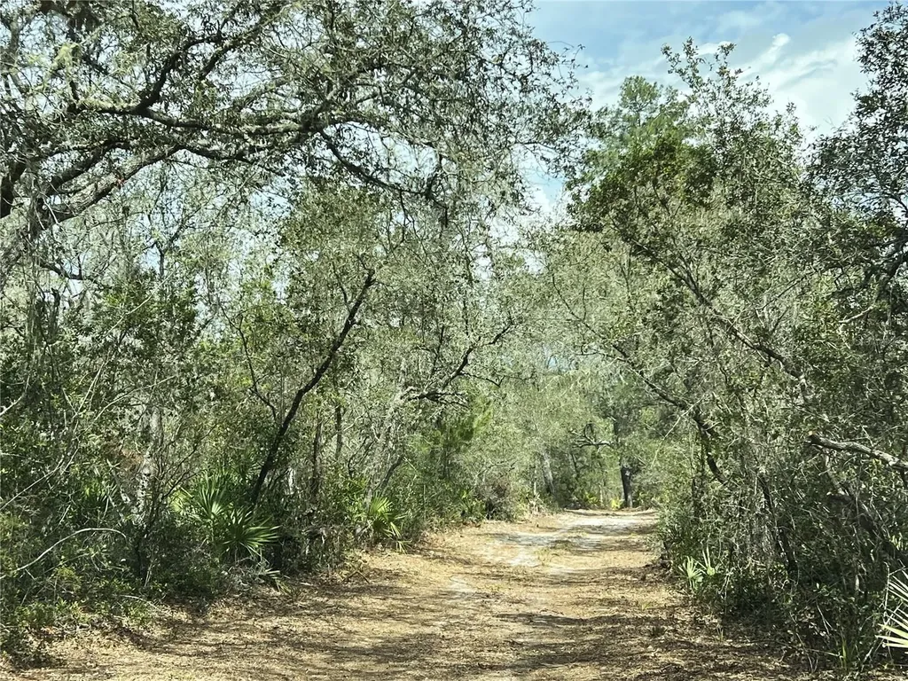 Forest 02 Road Umatilla FL 32784