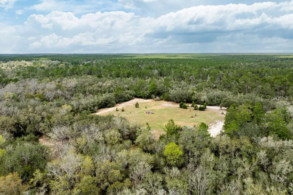 Forest 02 Road Umatilla FL 32784