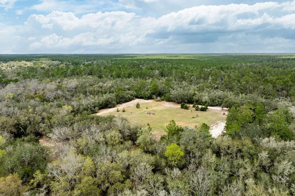 Forest 02 Road Umatilla FL 32784