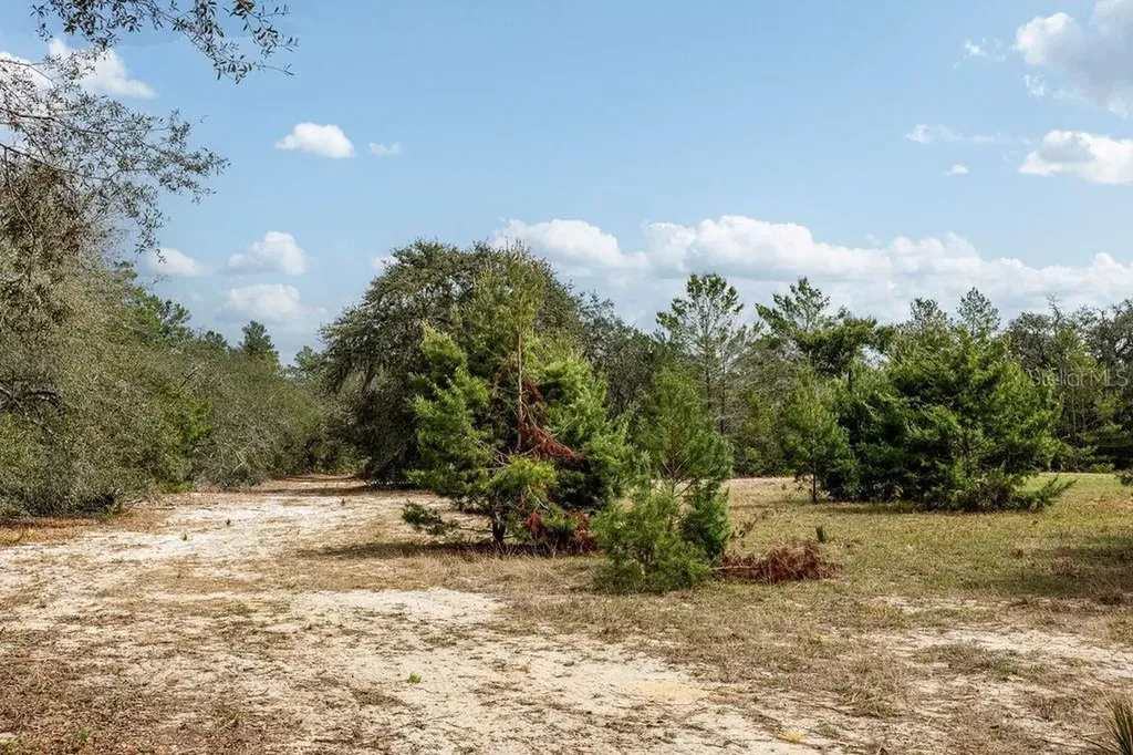 Forest 02 Road Umatilla FL 32784