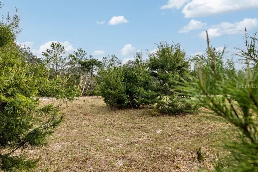 Forest 02 Road Umatilla FL 32784