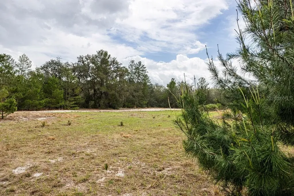 Forest 02 Road Umatilla FL 32784