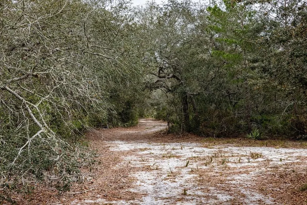 Forest 02 Road Umatilla FL 32784